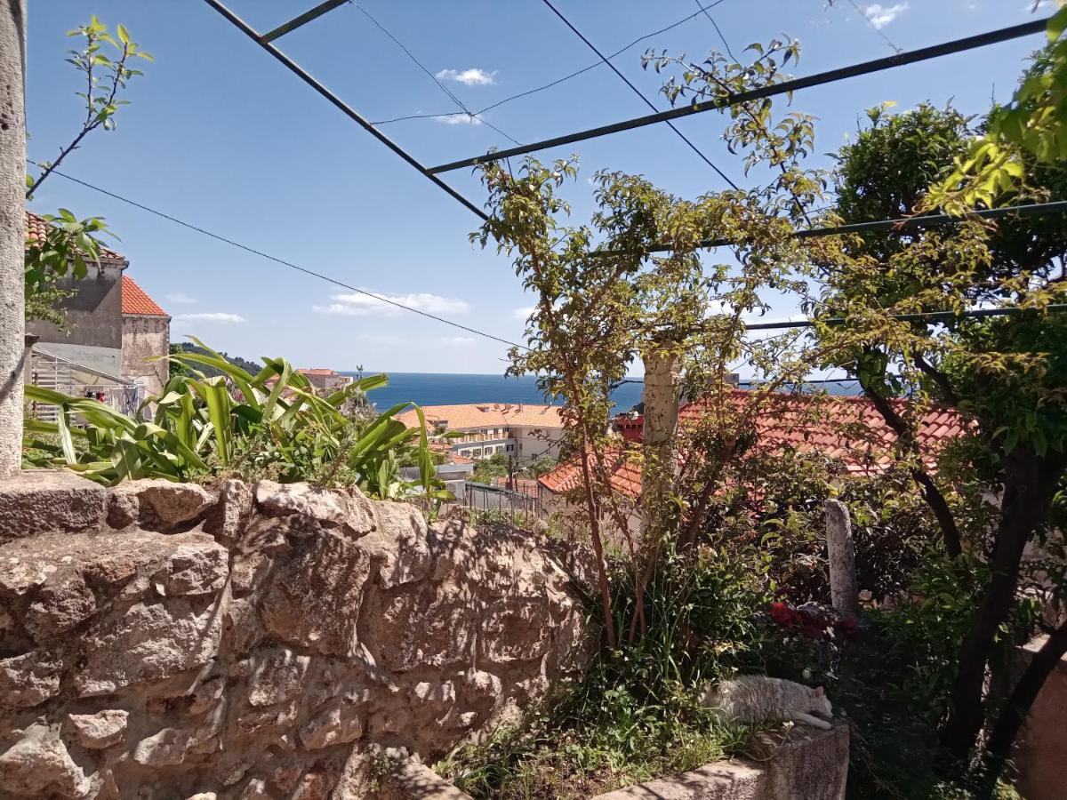 Guest house Summer Day